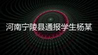 河南宁陵县通报学生杨某某坠亡事件�	：未发现欺凌情况