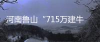 河南鲁山“715万建牛郎织女雕塑”调查两年仍无结论？市纪检委	：还在调查�，涉及保密