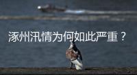 涿州汛情为何如此严重	？救援有何难点？