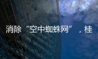 消除“空中蜘蛛网”，桂山镇整治“头顶难题”见成效
