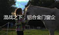 快排公司十年历程，霸屏兔 seo 的崛起与坚守