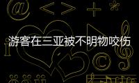 游客在三亚被不明物咬伤后身亡�，官方通报
	：已成立调查组