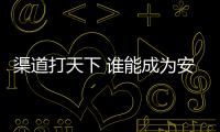 渠道打天下 谁能成为安防界的OPPO、VIVO?