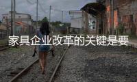 家具企业改革的关键是要走得正
，走得稳