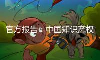 官方报告�：中国知识产权公共服务能力和水平不断提升