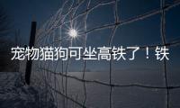 宠物猫狗可坐高铁了
！铁路12306推出“宠物托运”功能