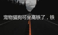 宠物猫狗可坐高铁了，铁路12306推出“宠物托运”功能