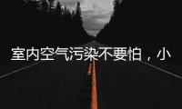 室内空气污染不要怕
，小海鸥贝壳粉还你清新空气!