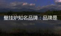 壁挂炉知名品牌	�：品牌是“亮点” 售后服务树口碑