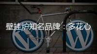 壁挂炉知名品牌
：多花心思控制成本 抓牢自身管理