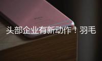头部企业有新动作！羽毛球又掀“涨价潮”？
