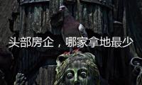 头部房企
，哪家拿地最少