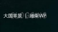 大国丰景 ｜ 潍柴WP4.6N收获机动力	，低速高效真省油
！