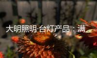 大明照明·台灯产品
：满足眼 满足心 满足对美的追求