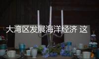大湾区发展海洋经济 这件“小事”为何这么关键？