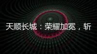 快排公司十年历程，霸屏兔 seo 的崛起与坚守