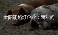 太阳能路灯企业：面对问题要善于抓重点