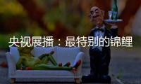 央视展播：最特别的锦鲤——佳得福金门窗