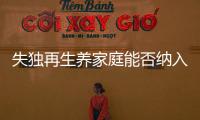 失独再生养家庭能否纳入政策补助？丨两会圆桌