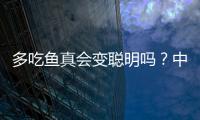 多吃鱼真会变聪明吗？中国科学家给出定论丨硬核唠科