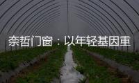 奈哲门窗：以年轻基因重塑行业格局�
，一线品牌的破界成长之路