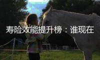 寿险效能提升榜：谁现在领先？谁拥有未来	？