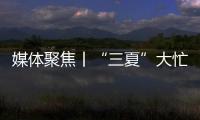 媒体聚焦丨“三夏”大忙正当时，中联重科农机一线展英姿