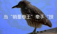 当“销量卷王”牵手“技术卷王”
，智驾格局生变？