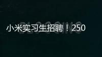 小米实习生招聘！250/天！留学生优先&餐补！世界 500 强offer!
