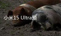 小米15 Ultra预售量数据披露	：海外市场增长超100%