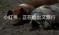 小红书
，正在给出文旅行业增长新解答