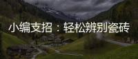 小编支招：轻松辨别瓷砖的品质