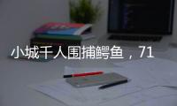 小城千人围捕鳄鱼，71条已全部查明和追回