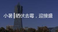 小暑┃晒伏去霉，迎接盛夏