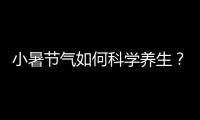 小暑节气如何科学养生？