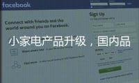 小家电产品升级，国内品牌竞争力强