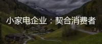 小家电企业：契合消费者需求 打造品牌消费