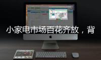 小家电市场百花齐放，背后的安全隐患不容忽视。