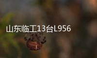 山东临工13台L956HEV定制电装交付生物质发电企业
，开启绿色租赁新篇章