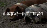 山东聊城一化工厂区发生爆炸，致5死1伤1失联