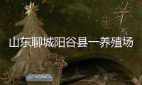 山东聊城阳谷县一养殖场发现炭疽病例，接触者已隔离治疗