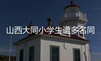 山西大同小学生遭多名同学辱骂、殴打
、欺凌�
，官方通报