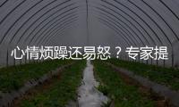 心情烦躁还易怒	？专家提醒35℃以上当防“情绪中暑”丨硬核唠科