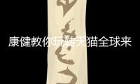 快排公司十年历程，霸屏兔 seo 的崛起与坚守