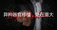 异种器官移植，处在重大突破边缘