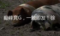 巅峰竞G，一触即发！徐工挖机掀起潇湘大地竞技热潮