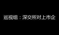 巡视组：深交所对上市企监管不力