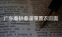 快排公司十年历程，霸屏兔 seo 的崛起与坚守