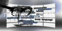 快排公司十年历程，霸屏兔 seo 的崛起与坚守
