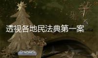 透视各地民法典第一案 裁判背后体现了什么�？